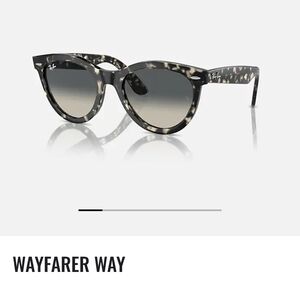 Ray-Ban Wayfarer Way Sunglasses in Tortoise Pattern